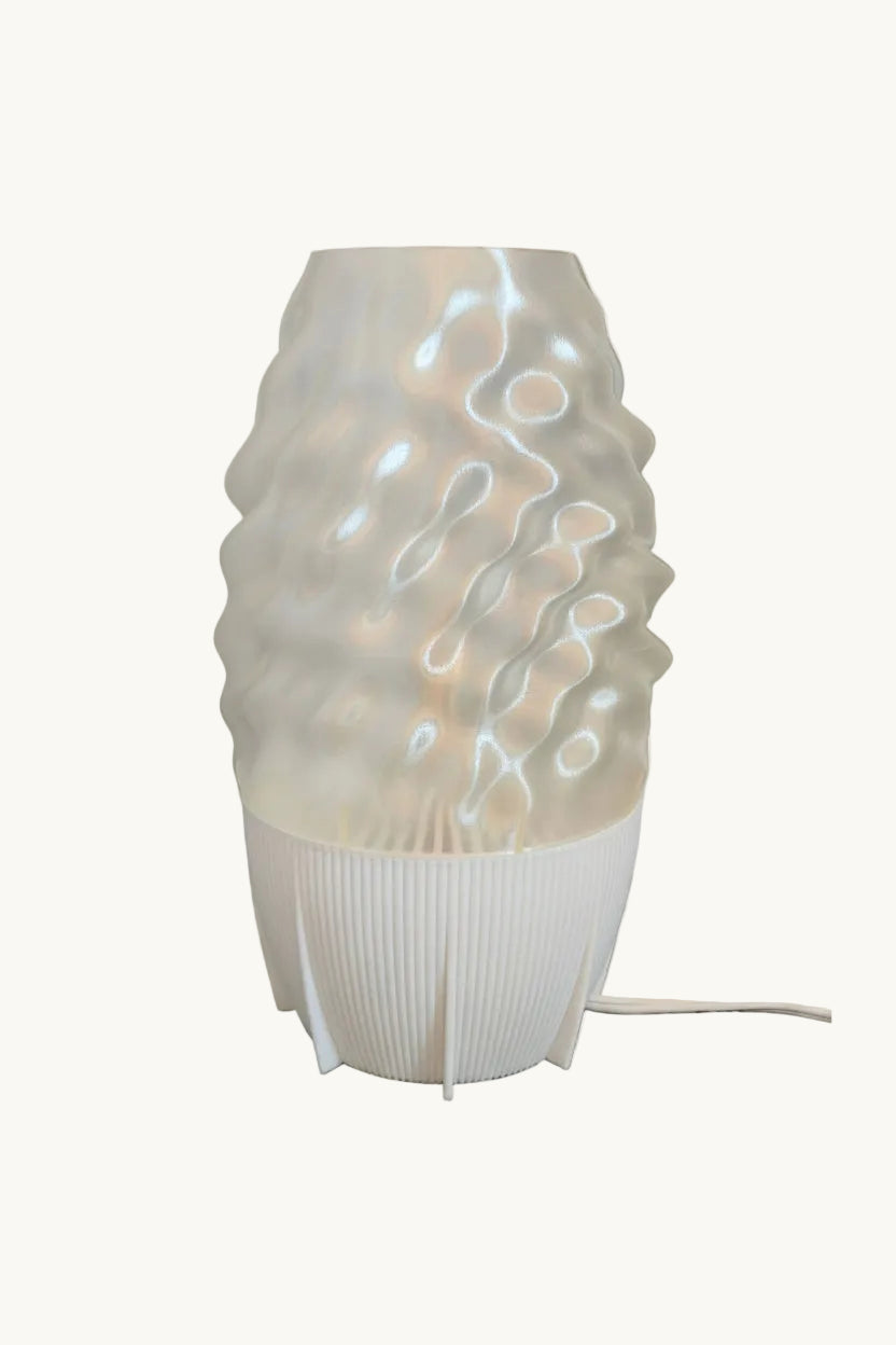 Egg Lamp
